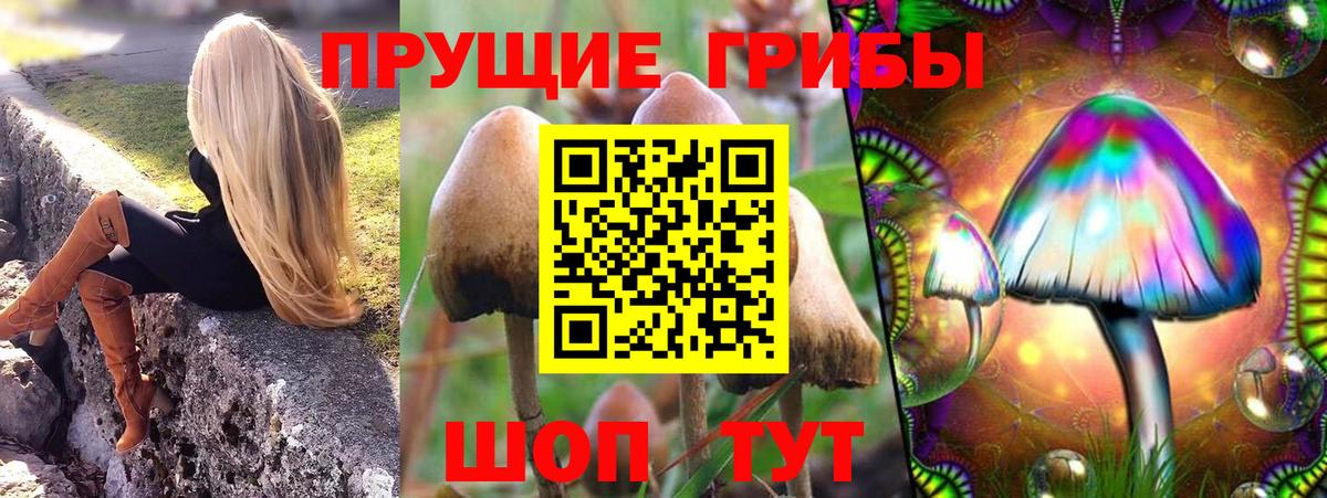 Галлюциногенные грибы MAGIC MUSHROOMS  Вход с VPN  продажа наркотиков  Зеленодольск 