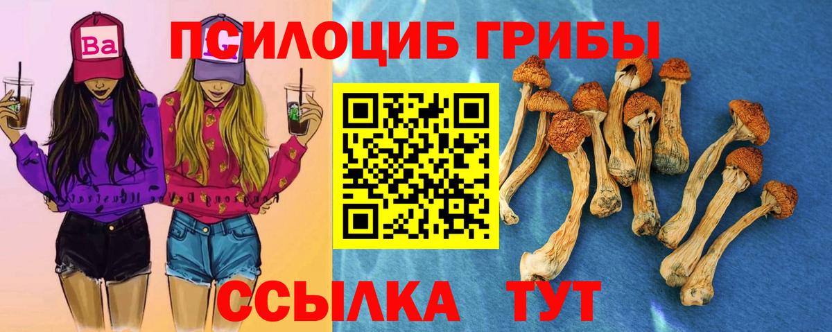 Галлюциногенные грибы GOLDEN TEACHER Зеленодольск